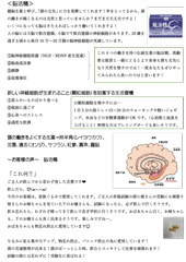 脳活精2020.11