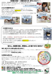 クロレラの粒 実験